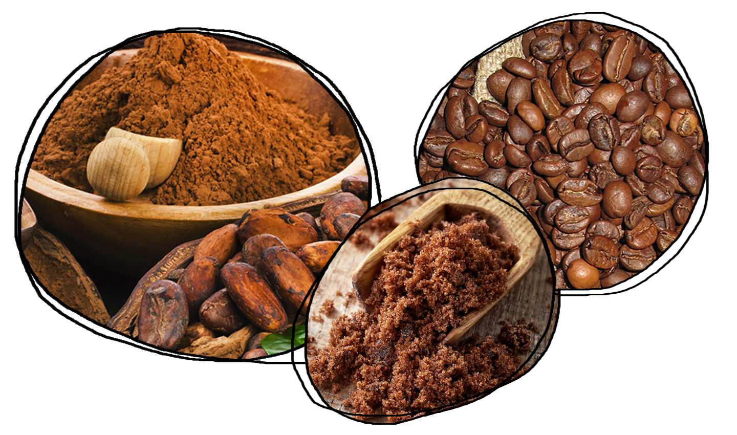 Cacao